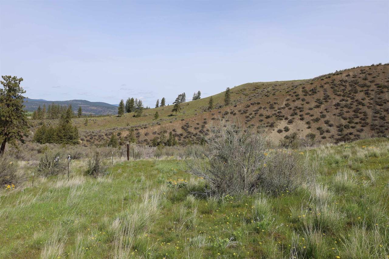 TBD-Lot 2 Spring Creek Rd - Photo 1