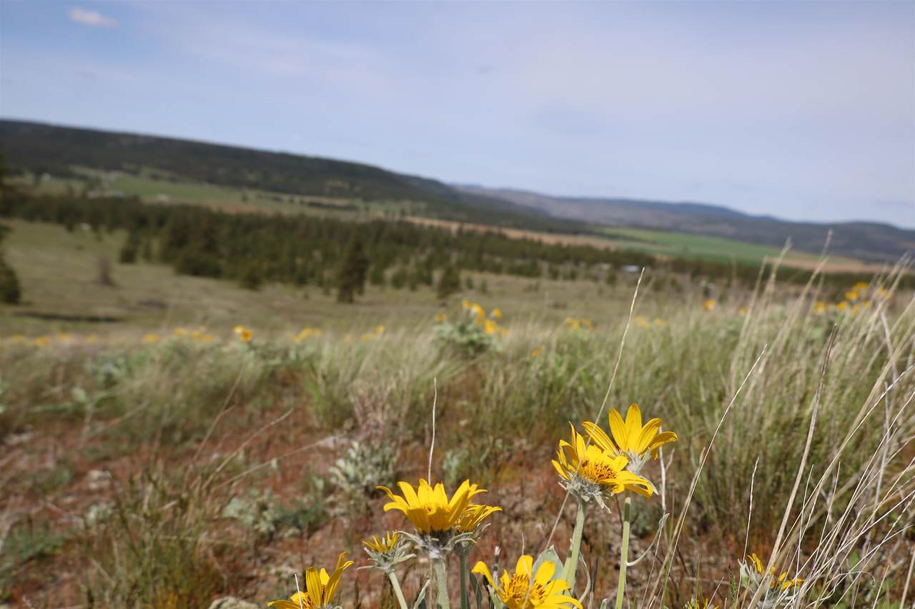 TBD-Lot 3 Spring Creek Rd - Photo 1