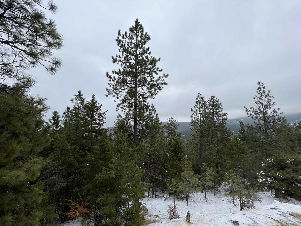 Lot 3 XXX-Highway 27 Highway 27 Hwy - Photo 1