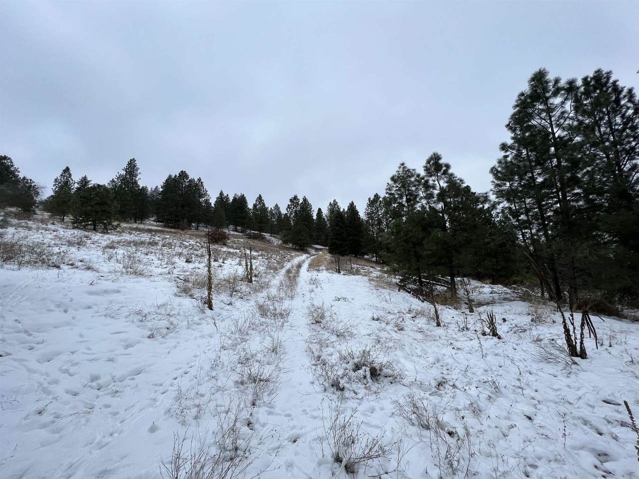 Lot 4 XXX-Highway 27 Highway 27 Hwy - Photo 1