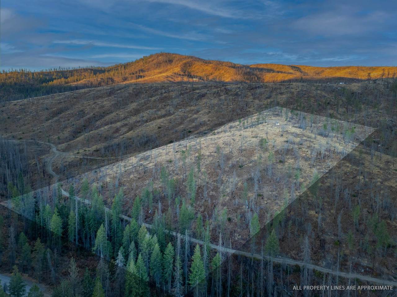 Lot 11 Rail Canyon Rd - Photo 1
