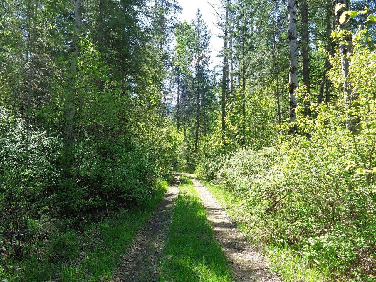 3891 J Cedar Creek Rd - Photo 1