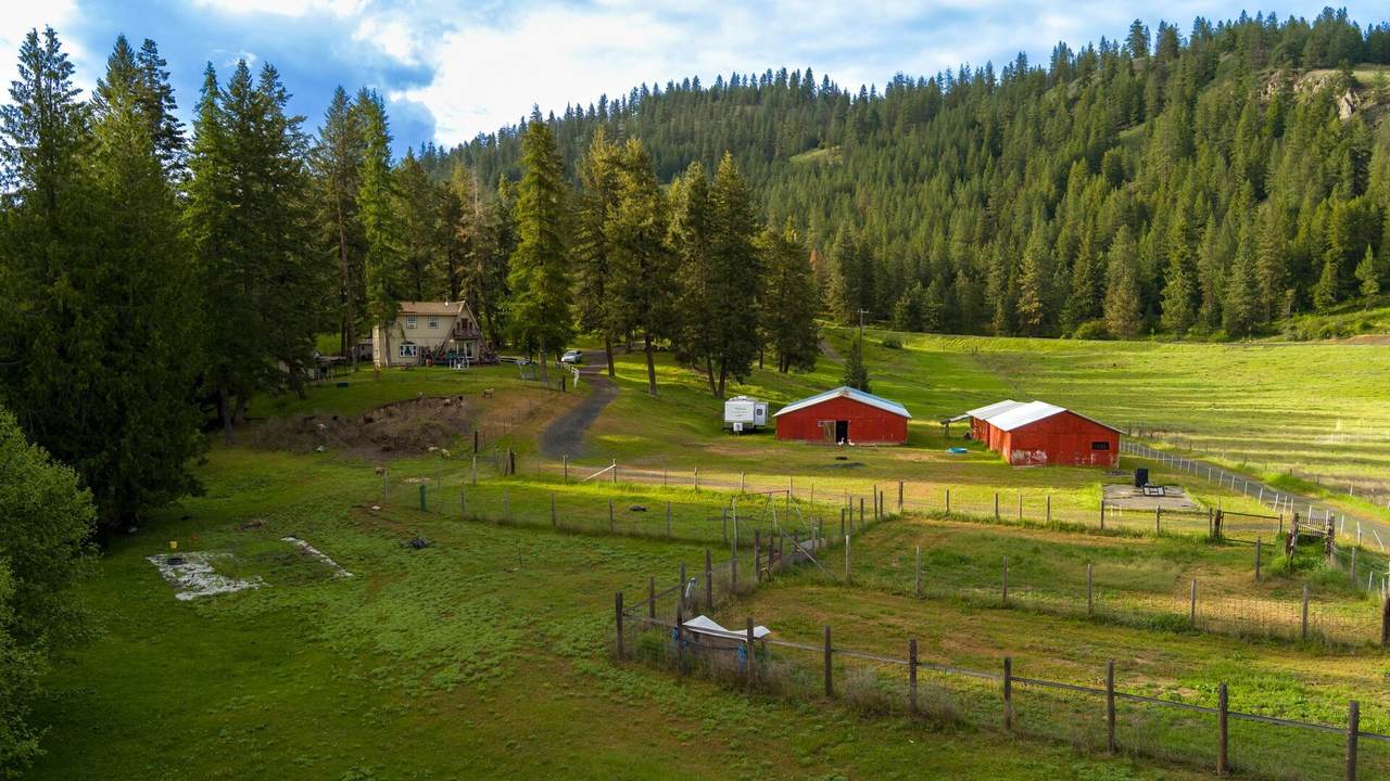 2063-A Marble Valley Basin Rd - Photo 1