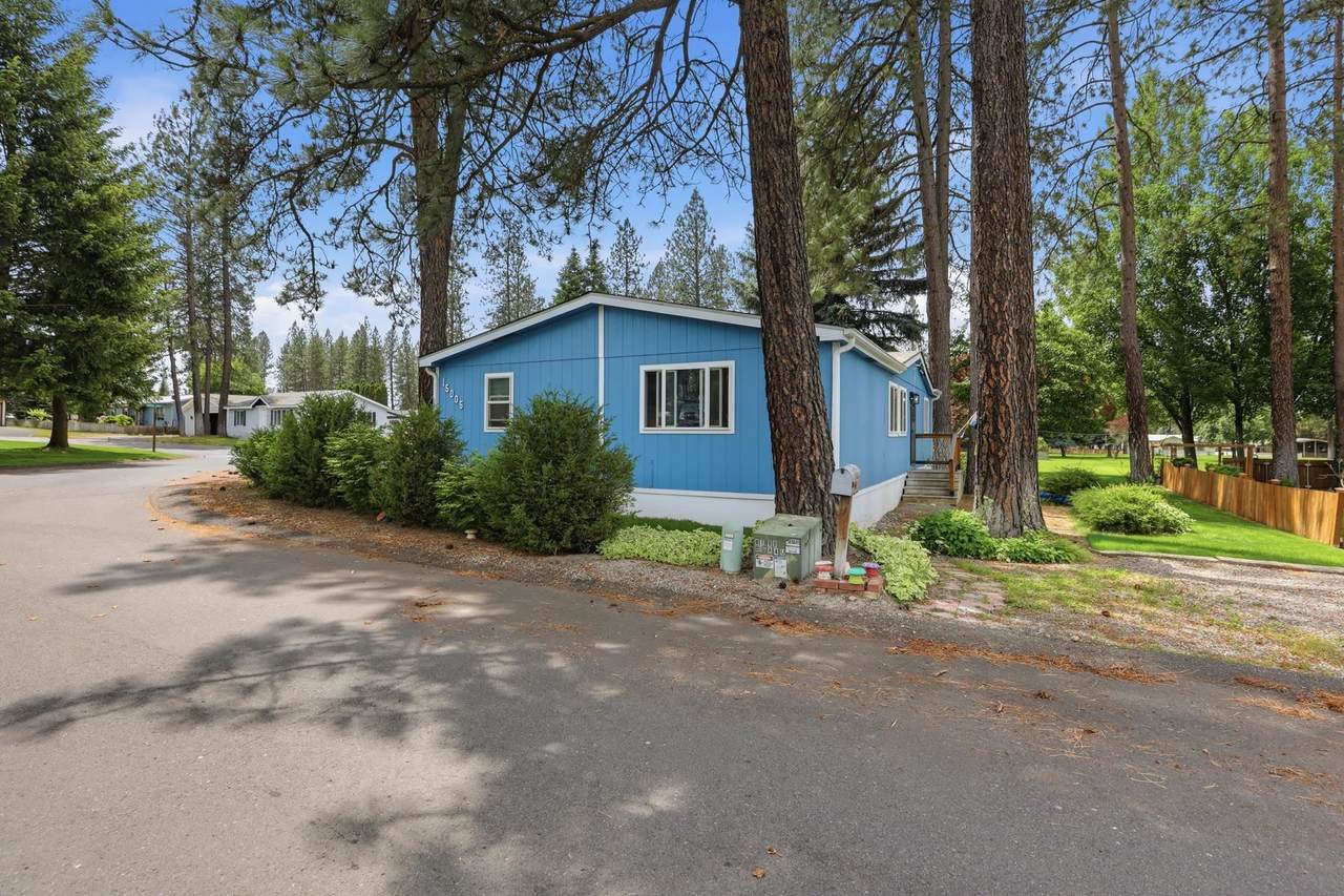 15005 Shenandoah Forest Ln - Photo 1