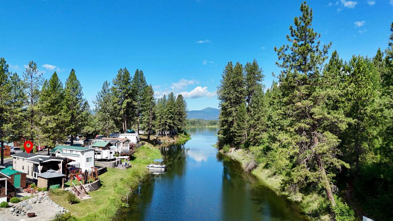 144 Tall Pine Loop - Photo 1