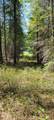 4535 Jepsen Rd - Photo 22