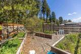 512 Quail Loop - Photo 45