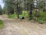 16 Spring Loop - Photo 16