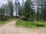 16 Spring Loop - Photo 17