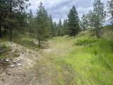 16 Spring Loop - Photo 18