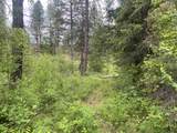 16 Spring Loop - Photo 20