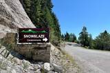 28600-301 Mt Spokane Dr - Photo 2