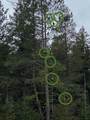 4826 Eloika Rd - Photo 48