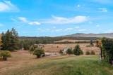 522 Lillijard Rd - Photo 33