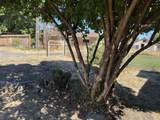 508 4th St - Photo 19