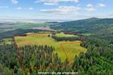 12829 Campbell Rd - Photo 47