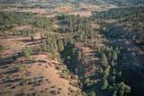 23911-175 Acres - zo Trent Ave - Photo 22