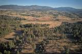 23911-175 Acres - zo Trent Ave - Photo 23
