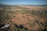 23911-175 Acres - zo Trent Ave - Photo 48