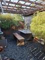 9717 Main Ln - Photo 7