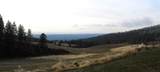 7601 Bernhill Rd - Photo 2