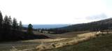 7601 Bernhill Rd - Photo 3