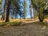4439 Whittier Rd - Photo 30