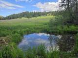 4439 Whittier Rd - Photo 32