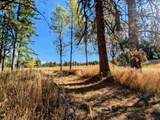 4439 Whittier Rd - Photo 35