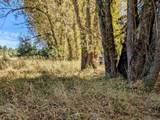 4439 Whittier Rd - Photo 42