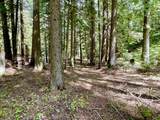 23100 Mt. Spokane Park Dr - Photo 28