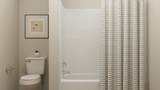 24540 Short Tail Ln - Photo 11