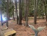 481 Davis Lake Rd - Photo 17