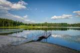 152 Locke Cutoff Rd - Photo 44