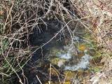 3610 Sand Creek Rd - Photo 27