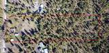5910 Thierman Rd - Photo 50