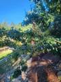2271 Marble Valley Basin Rd - Photo 30