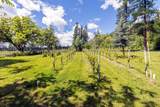 3752 Vineyard Way - Photo 40
