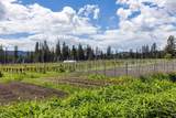 3752 Vineyard Way - Photo 47