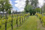 3752 Vineyard Way - Photo 48
