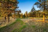 7017 Trails Rd - Photo 46