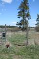 36916 Grove Rd - Photo 39
