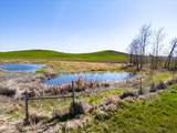 3514 Watt Rd - Photo 42