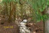 2269 Marble Valley Basin Rd - Photo 5