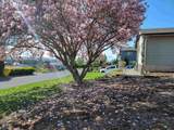 8523 Northview Rd - Photo 36