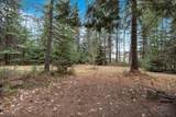 42 Silver Birch Rd - Photo 26