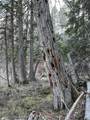 410 F Prouty Corner Loop Rd - Photo 13