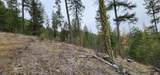 1527 Pingston Creek Rd - Photo 46