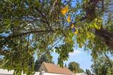 265 Jefferson St - Photo 27