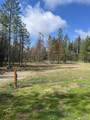 3858 C Agar Rd - Photo 14